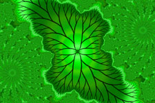 Rauli Leaf Fractal