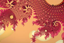 Red Lace Panorama Fractal
