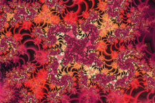 Red & Yellow Lace - Fractal Pattern